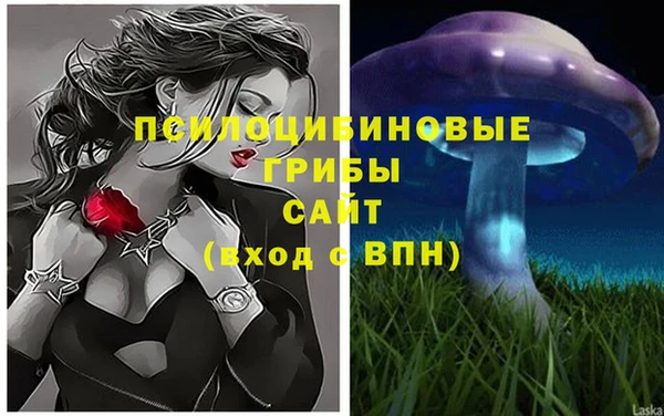 шишки Ельня